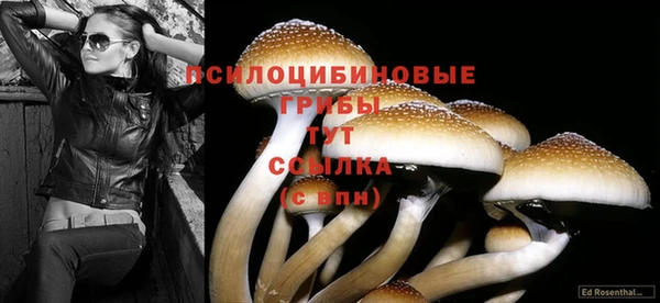 круглые Корсаков