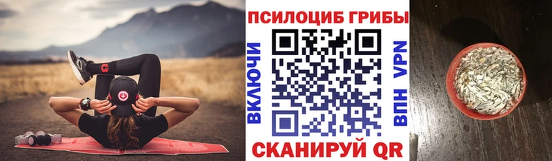 продажа наркотиков  MEGA как зайти  Псилоцибиновые грибы GOLDEN TEACHER  Кудымкар 