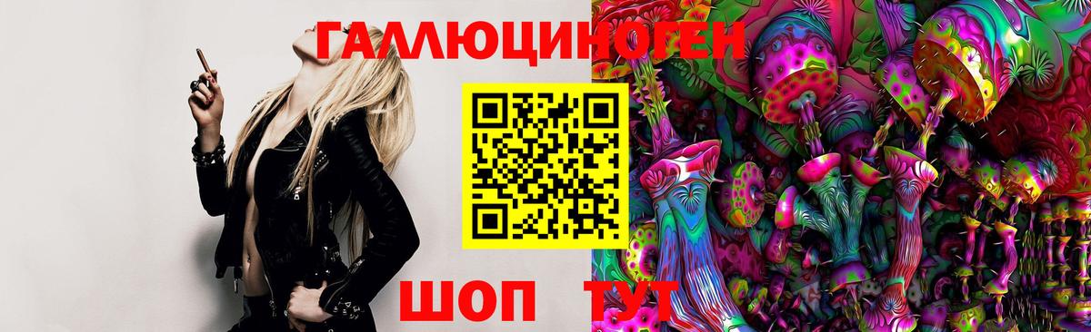 Галлюциногенные грибы Psilocybe Кудымкар