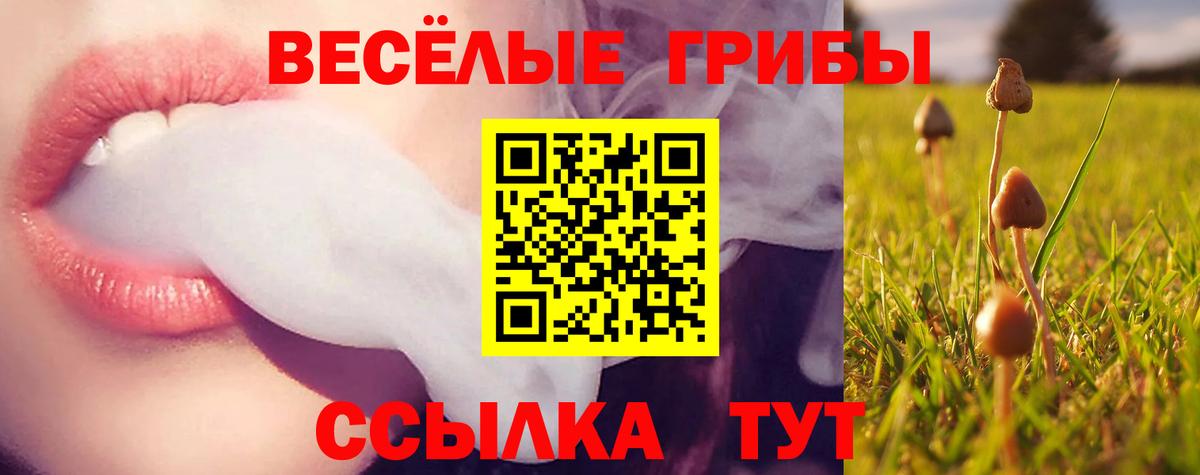 Псилоцибиновые грибы Psilocybe  Вход с VPN  Кудымкар 