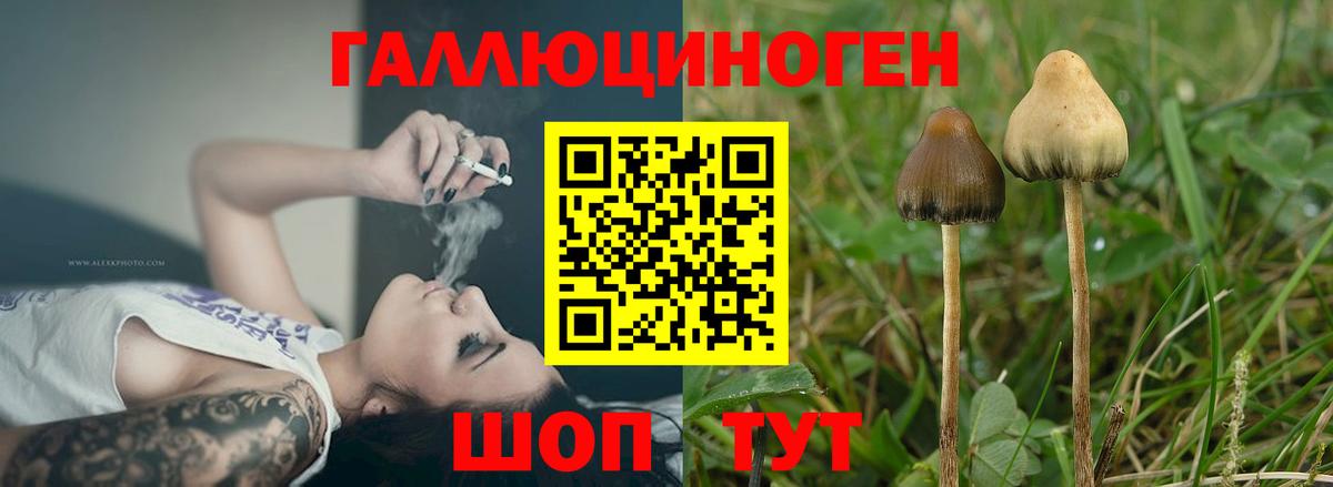 Кудымкар  Гашиш  Меф МЯУ МЯУ кристаллы  КОКАИН  Метамфетамин  Мефедрон   Кодеин  COCAIN  Бошки Шишки 